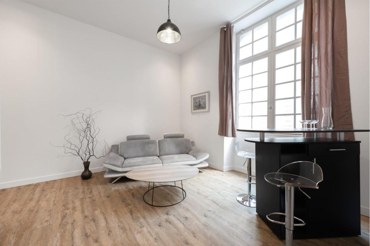 Bright Spacious Well-Equipped Apartment 卡尔卡松 外观 照片